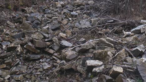 Pequeño-Deslizamiento-De-Rocas-En-Un-Bosque-Con-Pequeños-árboles-Caídos