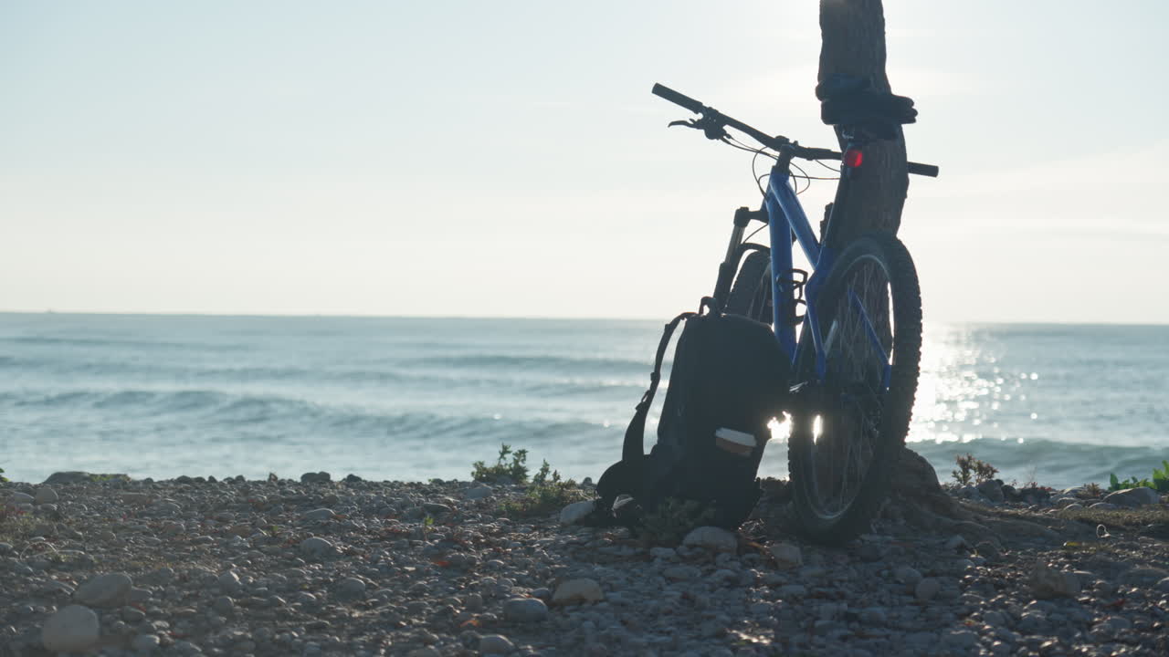 하얀 개는 화창한 날 바위투성이 해변에 있는 나무에 기대어 자전거를 지나친다