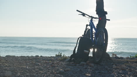 white dog passes a bicycle leaning against a tree on a rocky seashore on a sunny day