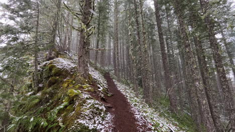 en una caminata al monte storm king, se desata una tormenta de nieve a fines del verano