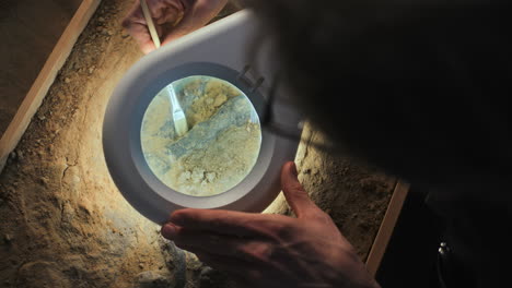 archaeologist examining fossil in excavation site