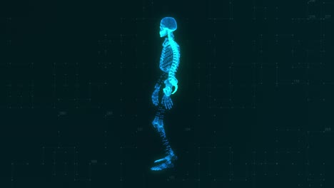 concepto tecnológico. modelo 3d de un esqueleto caminando en el fondo de la tecnología. color azul. animación 3d