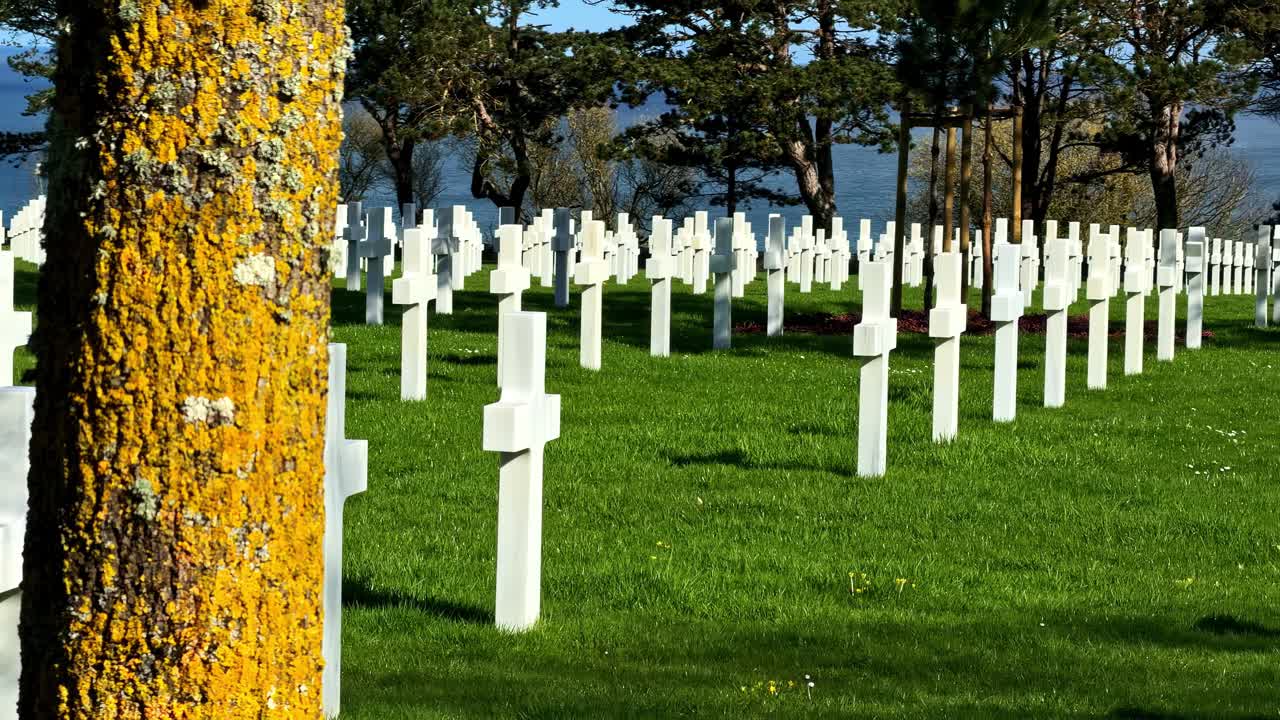 Tronco d'albero coperto di licheni gialli incornicia file di croci di marmo bianco al Cimitero Americano della Normandia, con l'Oceano Atlantico intravisto tra gli alberi in lontananza