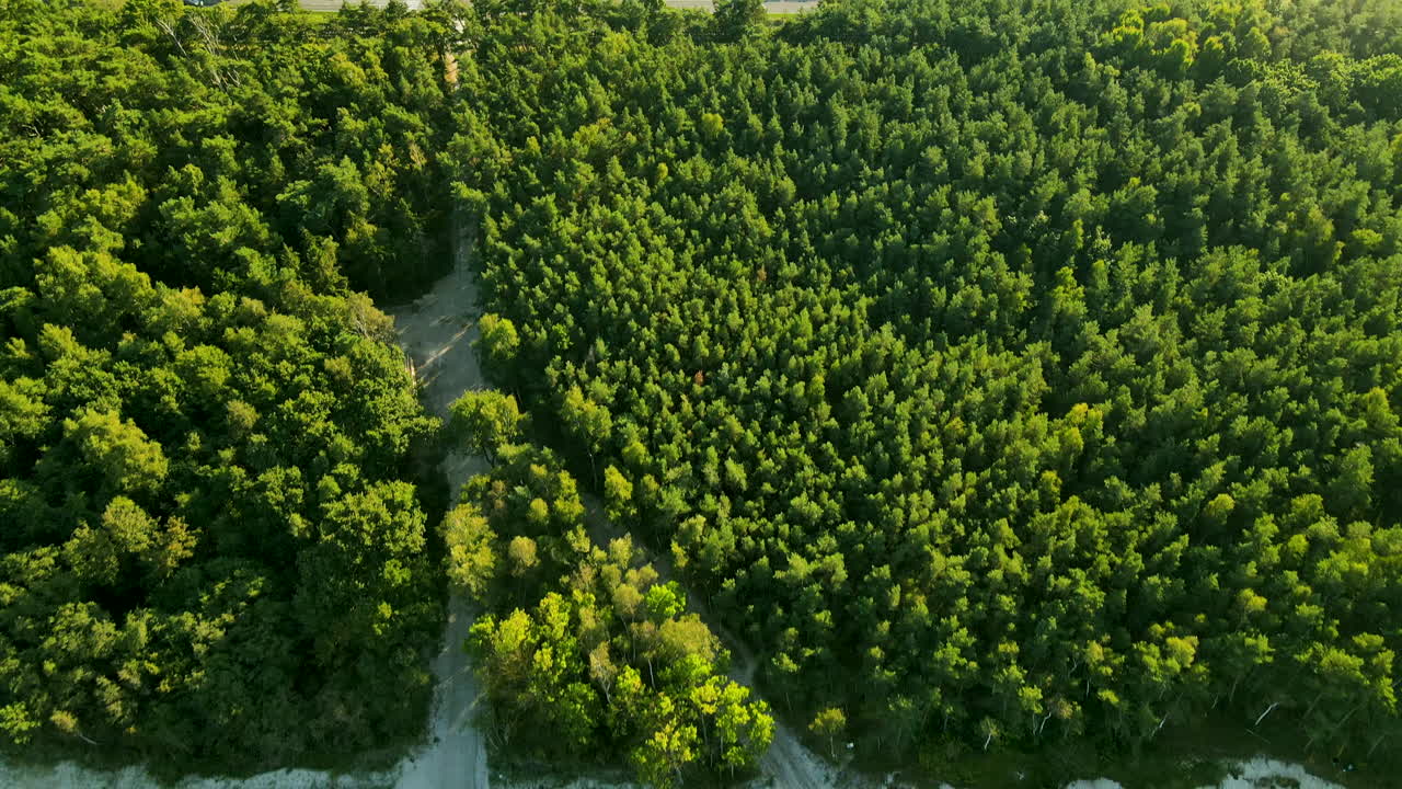 vista de drones de la estrecha costa del istmo de kuznica con bosque de playa y carretera entre el océano