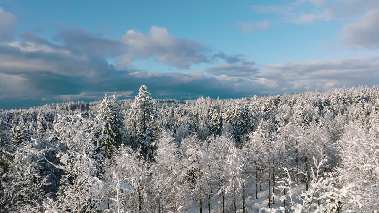 Vinterscene med sneklædte træer mod en overskyet himmel i Jorat, Vaud, Schweiz - luftfoto med drone.