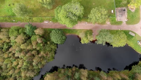 Parkteich-Szene-Von-Menschen,-Die-Auf-Einem-Feldweg-Joggen-Und-Spazieren-Gehen,-Antenne