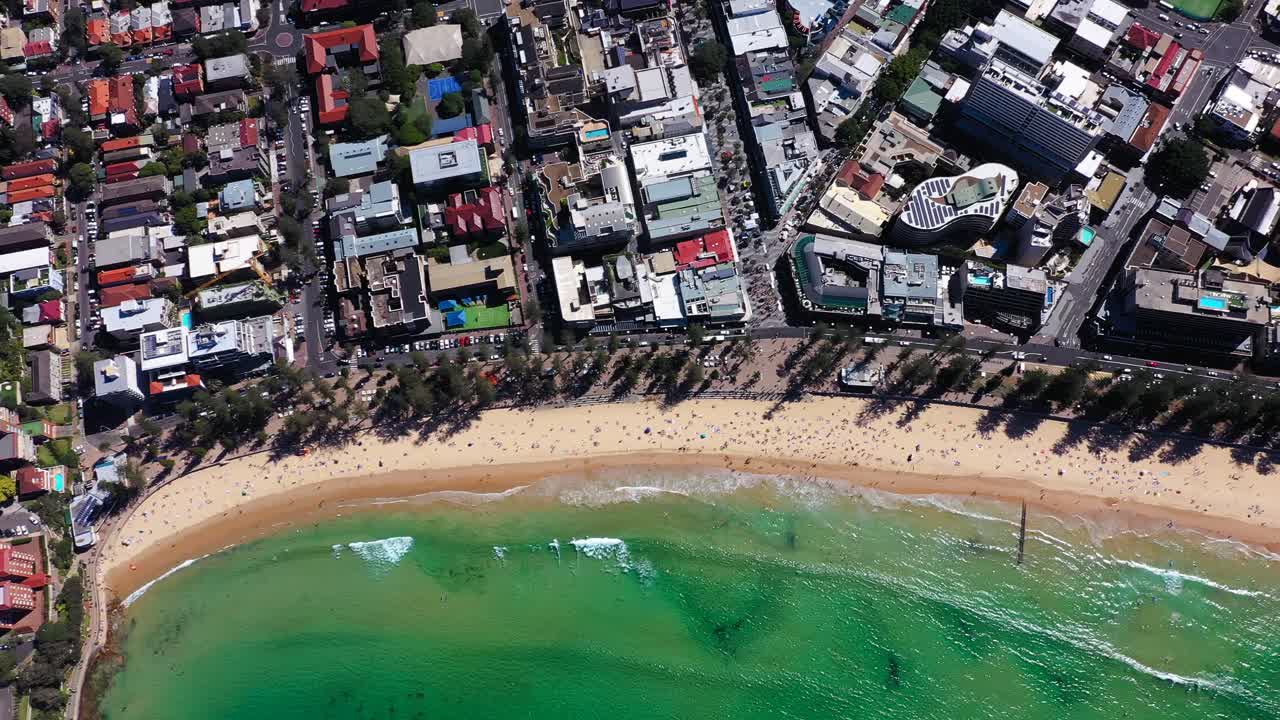 시드니 - 맨리 비치 조감도