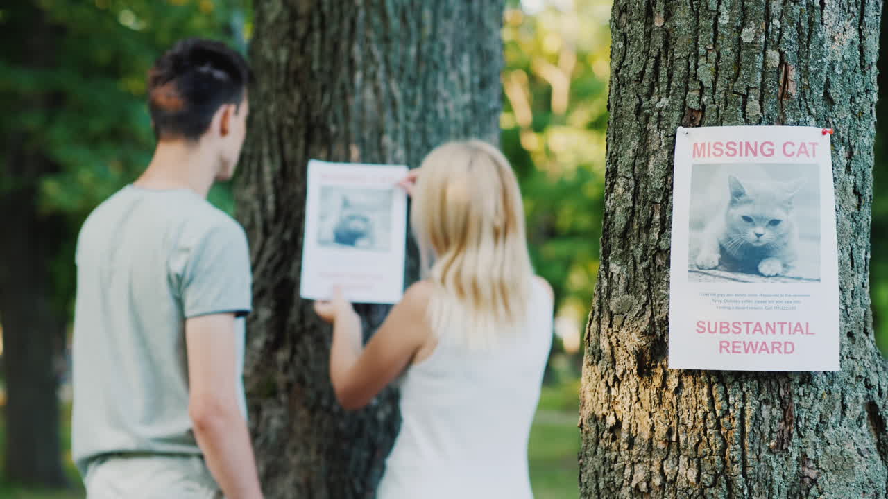pareja joven colocando pancartas de mascotas perdidas