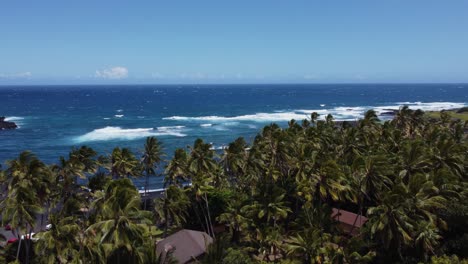 4k-Filmische-Drohnenaufnahme-Von-Hoch-Aufragenden-Palmen,-Die-Sich-Am-Strand-Von-Punulu&#39;u-Wiegen,-Mit-Dem-Blauen-Ozean-Im-Hintergrund-Und-Brechenden-Wellen