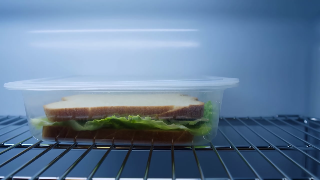 Sandwich In Plastic Container On Fridge, Clear Lid Seated On Metal Shelf Under Cool Blue Light, Layers