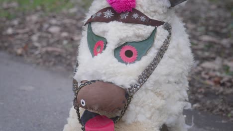furry animal headdress worn by kukeri, balkan ritual culture close-up