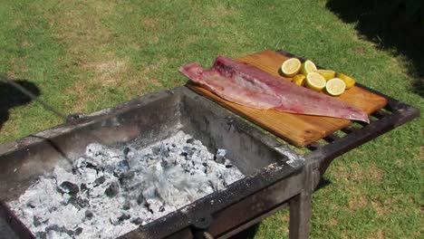 Grillen-Von-Fisch-über-Dem-Grill,-Braai