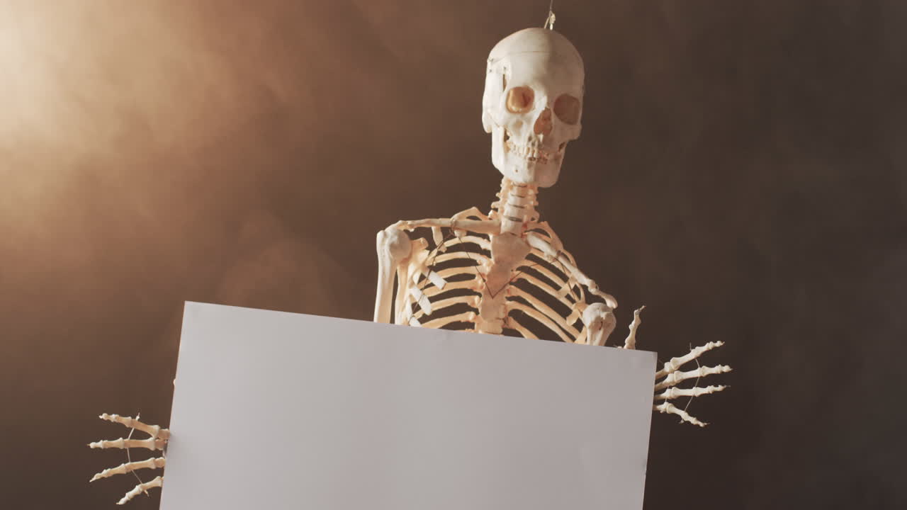 video de un primer plano del esqueleto de halloween sosteniendo una pizarra blanca con espacio de copia en un fondo marrón