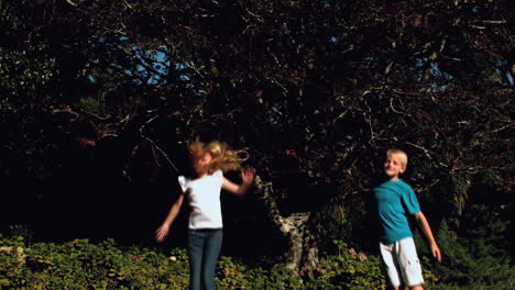 Brother-and-sister-jumping-on-a-trampoline