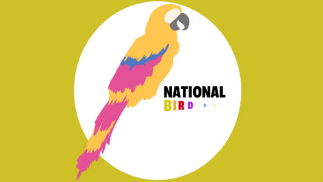 animación del texto del día nacional de las aves y el icono del loro sobre fondo verde