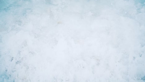 piedras y algunas conchas cerca del balneario