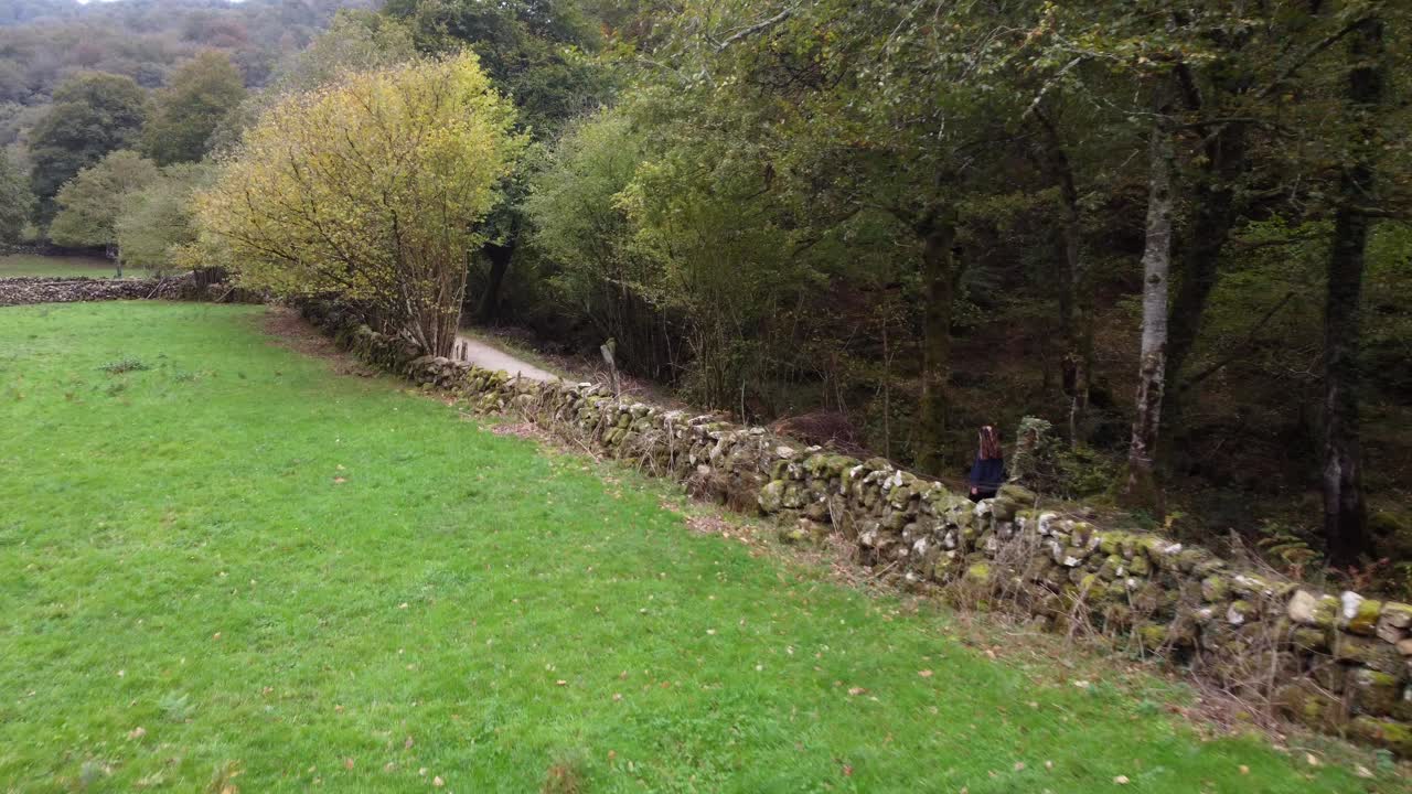 mujer haciendo senderismo en el bosque, ambiente otoño-invierno, montañas de los pirineos, 4k, caminando en la naturaleza