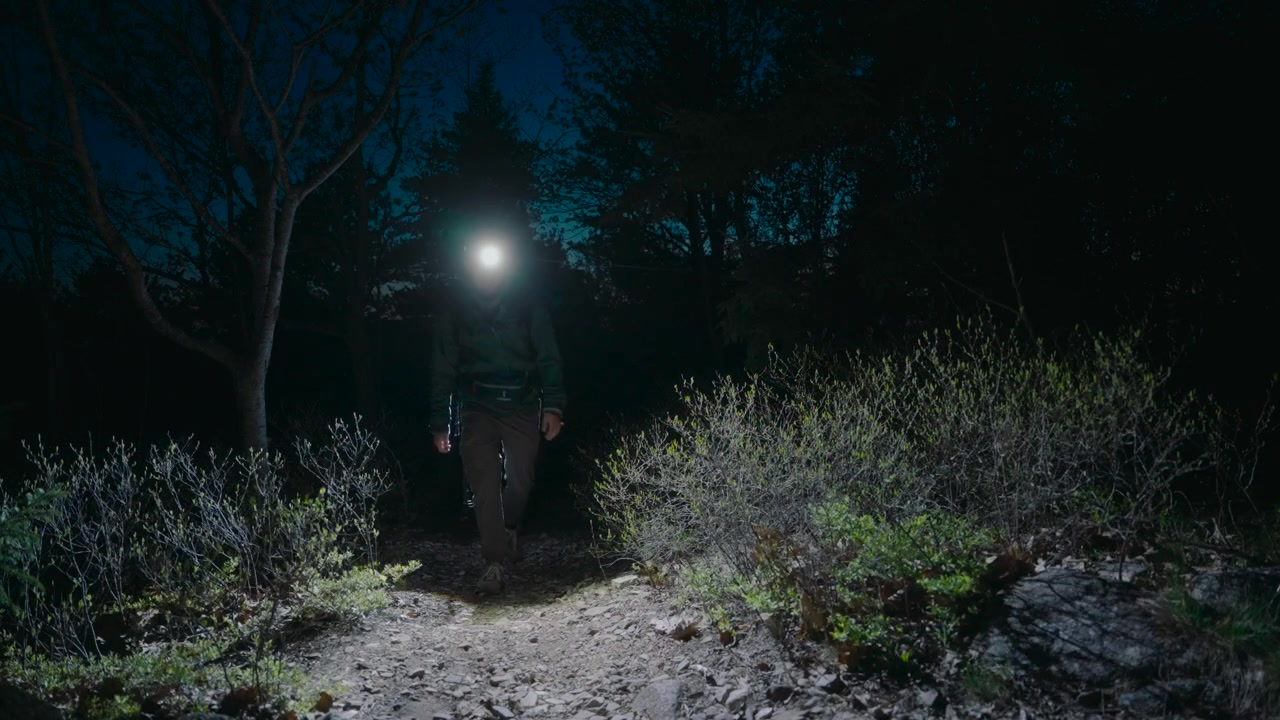 Hikers walking on a path through a dark forest at night with a bright headlamp illuminating the way