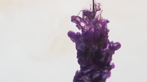 video en cámara lenta de tinta de acuarela púrpura mezclándose en agua contra un fondo gris