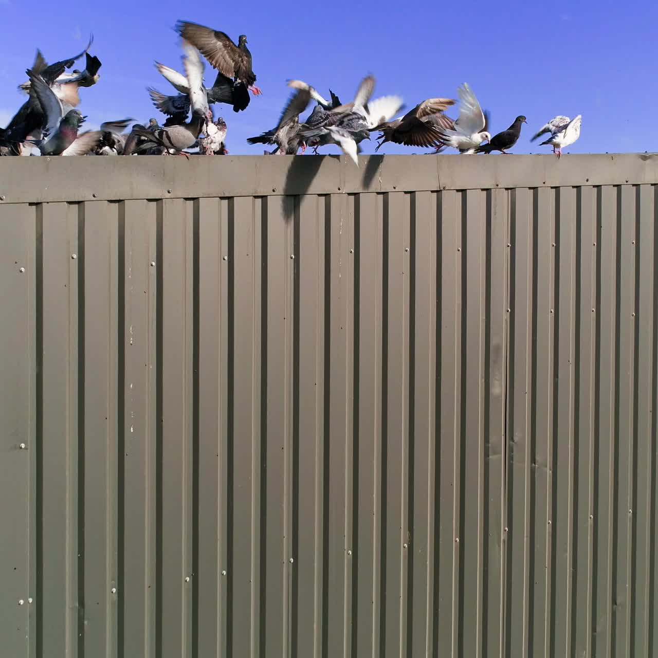 Grain elevator. The modern agricultural enterprise. Grain processing. Storage of grain