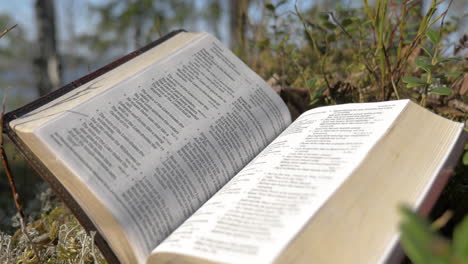 Öffnen-Sie-Die-Bibel-Im-Wald,-Während-Der-Wind-Die-Seiten-Umblättert