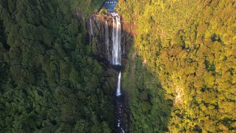 vista aérea panorámica de las cataratas de wairere rodeadas de densos árboles de follaje en la isla norte de nueva zelanda