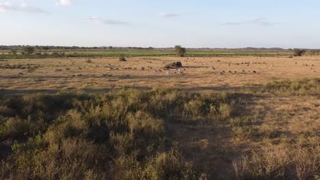 Kimana-Sanctuary-Wildlife-Kenia-Bei-Sonnenuntergang-Durch-Drohnenantenne