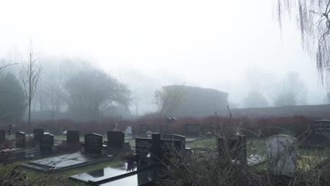 foggy cemetery