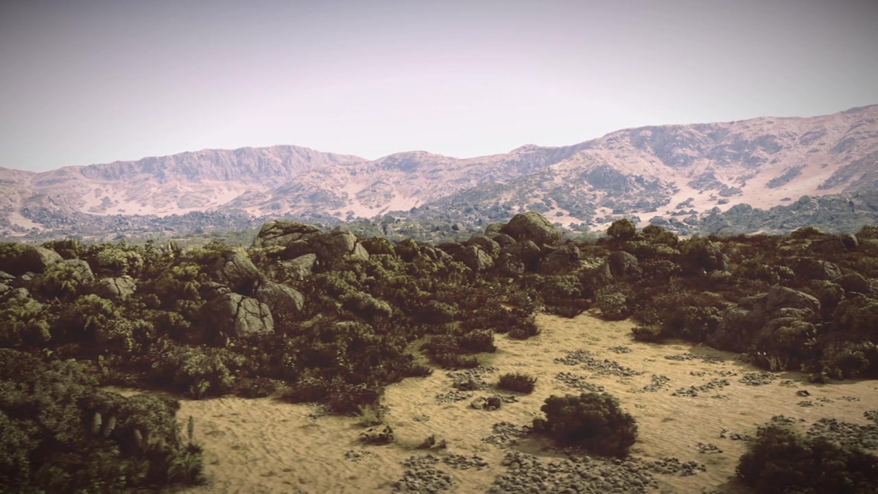 Serene landscape featuring sparse bushes under evening sky tone