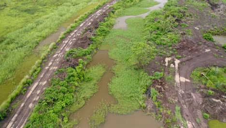 Aérea:-Río-Que-Fluye-A-Través-De-Campos-De-Arroz-Abiertos-En-Nickerie,-Surinam,-Revelación-De-Inclinación