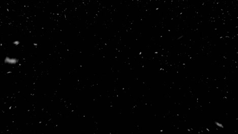 Falling-Snow-Isolated-on-Black-Background-Winter-Slowly-Falling-Snow-Effect-Vertical-Video