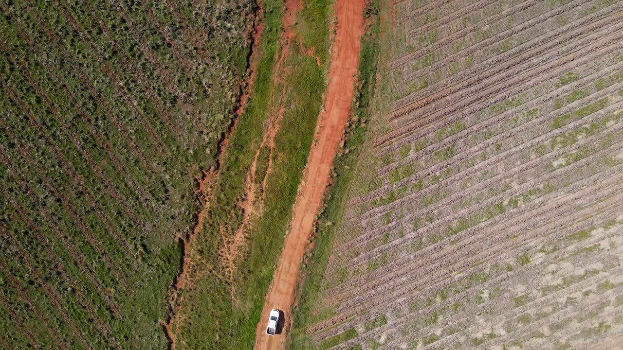 granjero conduciendo una camioneta blanca en un camino de tierra en tierras de cultivo