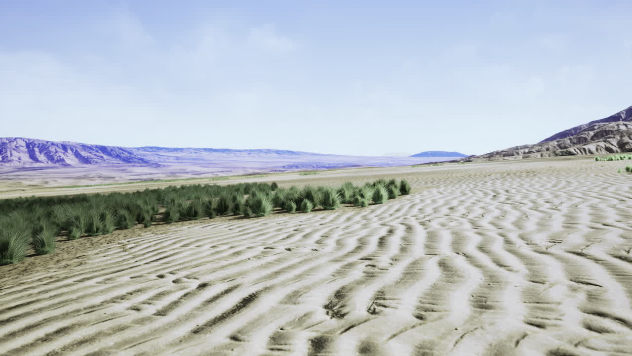 Endless dunes and lush greenery meet under the bright blue sky