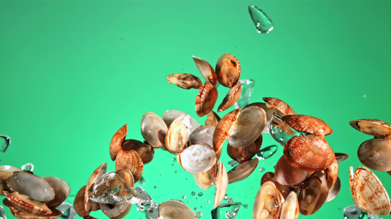 Slow Motion of Seashells and Ice Cubes Floating on Green Screen