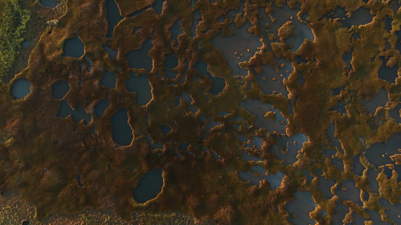 Aerial View of a Marsh