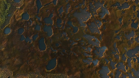 aerial view of a marsh