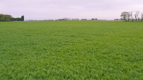 AERIAL---Beautiful-lush,-fertile-fields-under-a-purple-sky,-forward-tilt-up