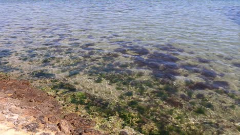 calm clear waters of the swan river, perth, australia