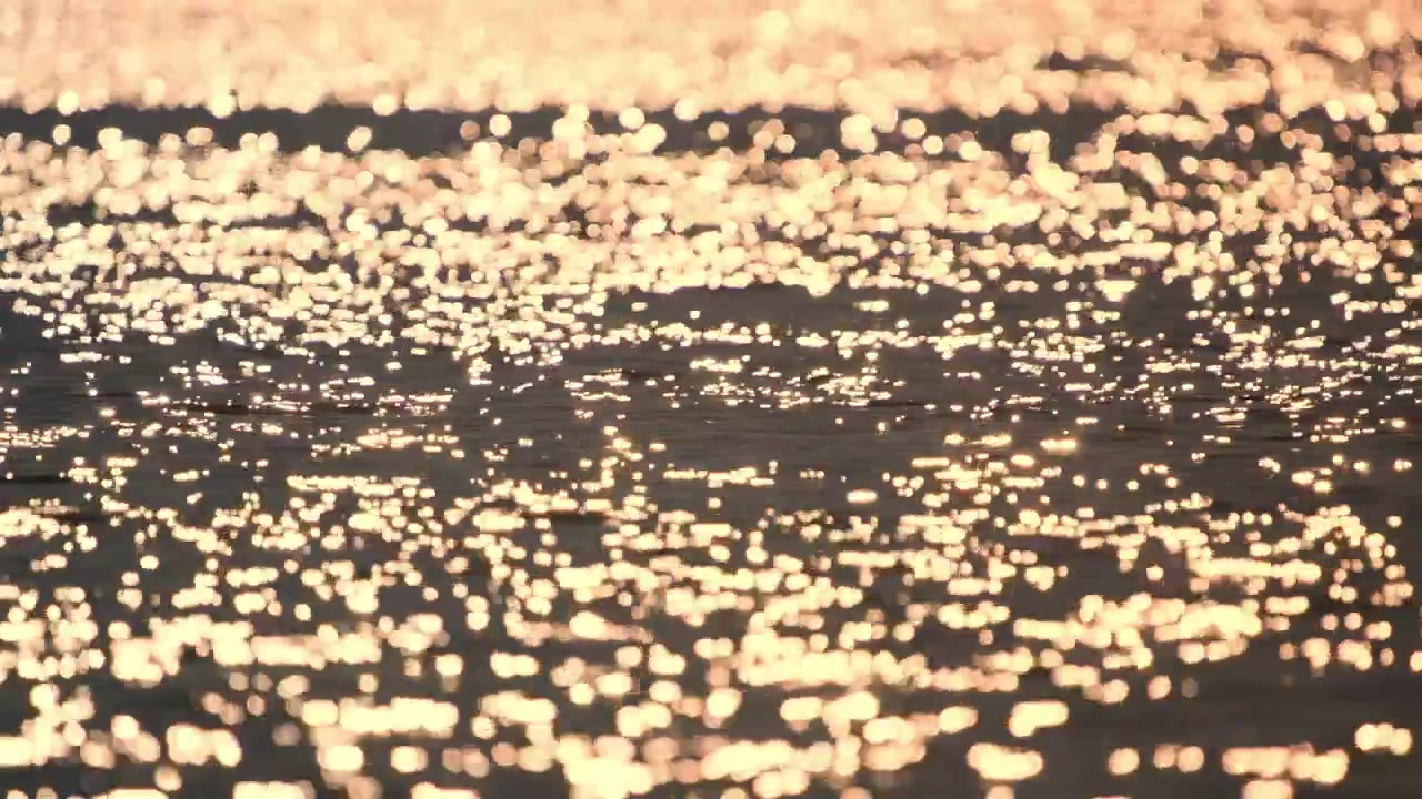Riflessi dorati del sole che luccicano sulla superficie dell'acqua