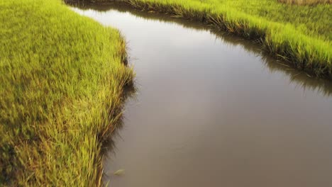 Low-flying-at-Oak-Island-North-Carolina