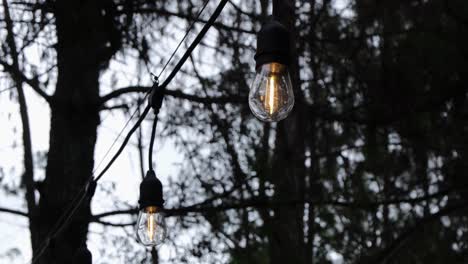 Dim-Light-Bulbs-Hanging-Between-Trees-In-The-Forest-At-Dusk-In-Bukidnon,-Philippines