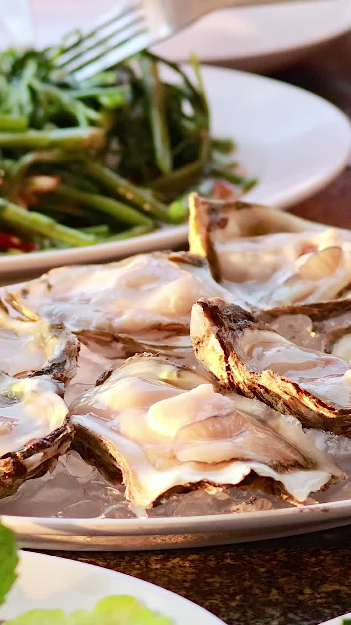 오이스터와 긴 아침 영광을 즐기고