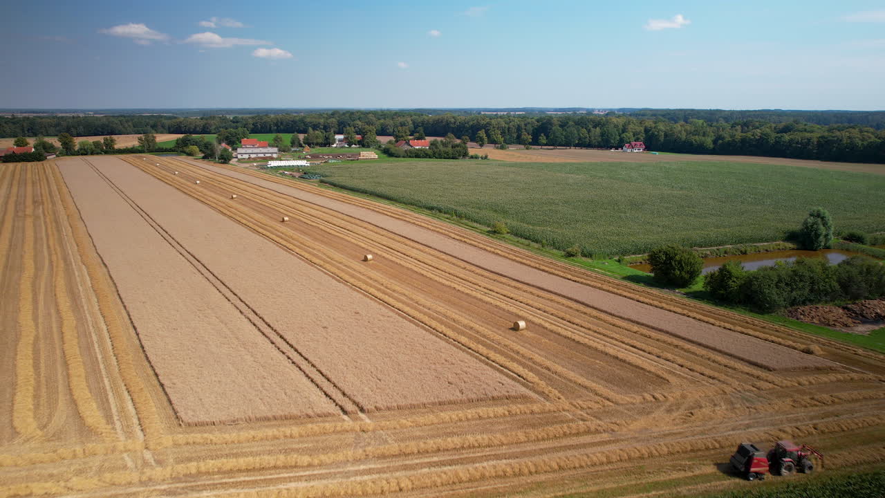 Tractor harvest plentiful full grown field, drone flies over barren land and hay bales