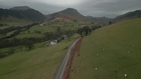 flying above hillside road with sheep in field and distant mountains in english lake district uk