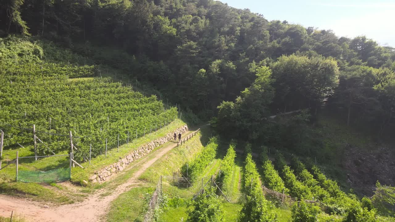 due ciclisti in sella a una bicicletta che escono dalla foresta sulle montagne