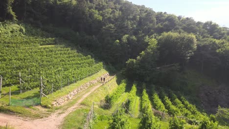 two-cyclists-riding-a-bike-coming-out-of-the-forest-on-the-mountains