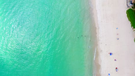 top view of tourist sunbathe on the beautiful beaches of phuket  thailand