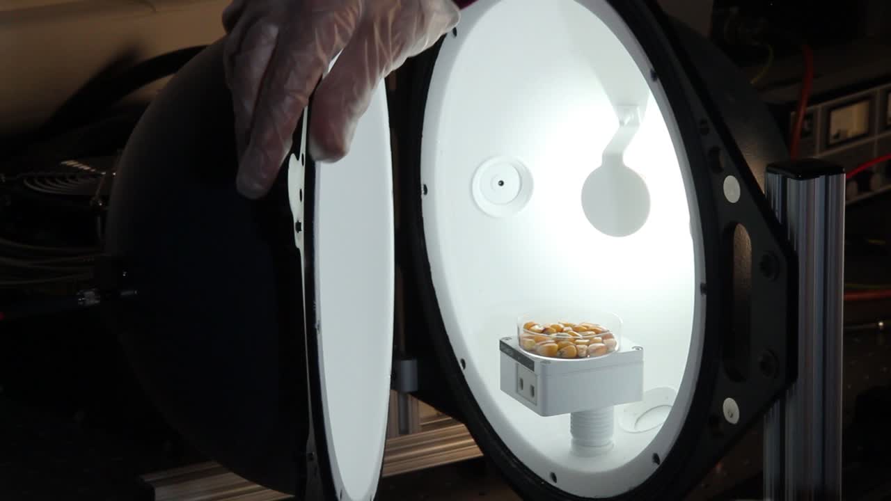 옥수수 실험실에서 식품 절약 테스트