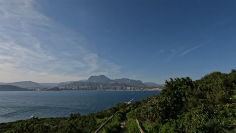 Flying-seagull-and-coastal-scene