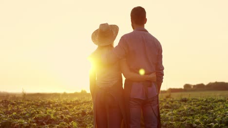 Back-View-On-The-Happy-Romantic-Couple-In-Love-Standing-Together-In-The-Field-At-The-Sunset,-Hugging-And-Looking-At-Each-Other